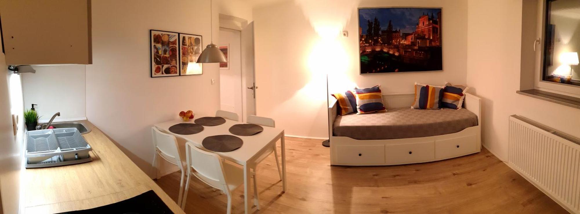 Apartment Tomc Любляна Екстер'єр фото